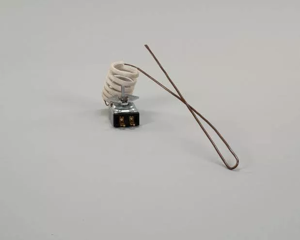 APW Thermostat (AS-64463505)