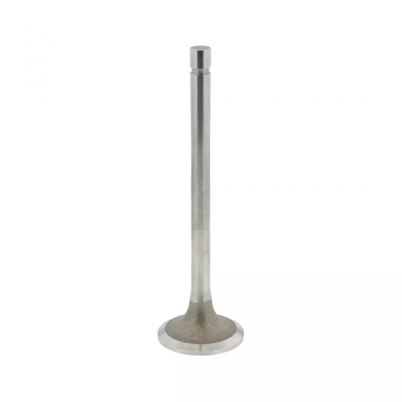 Excel 191962E Cummins 3035110 Exhaust Valve