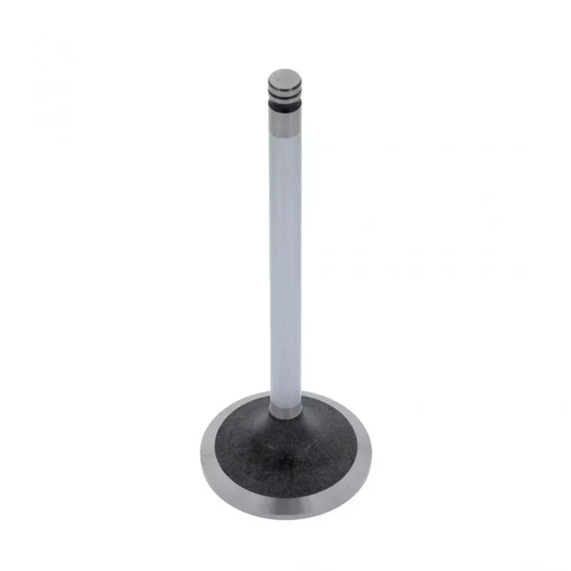 Excel 191980E Cummins 3920867 Intake Valve