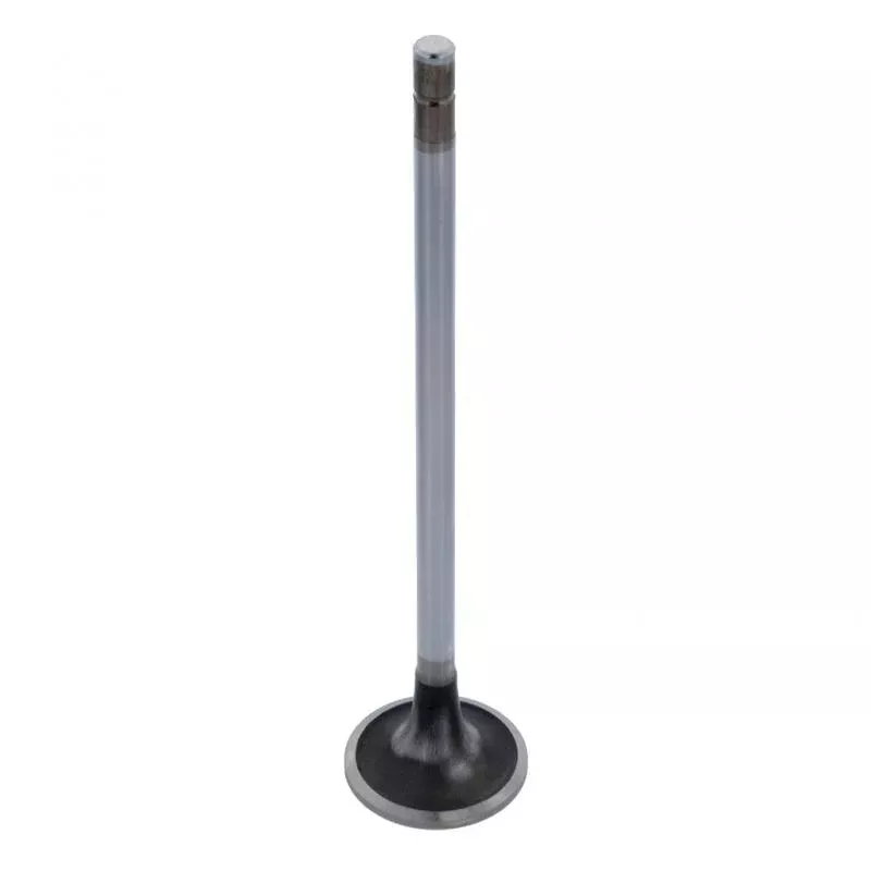 Excel 192145E Cummins 4965868 Intake Valve