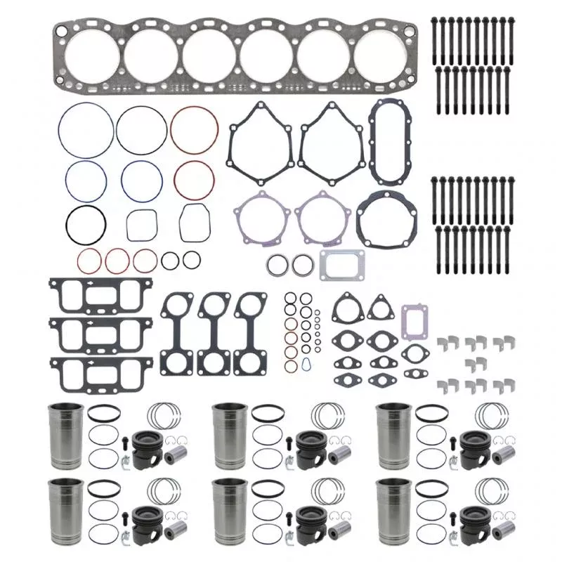 Oem 601009OEMR Basic Overhaul Kit