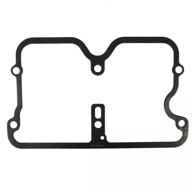 Pai 131390 Cummins 3017750 Rocker Gasket